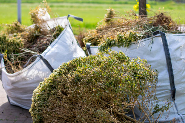 Best Hoarding Cleanup  in Drew, MS
